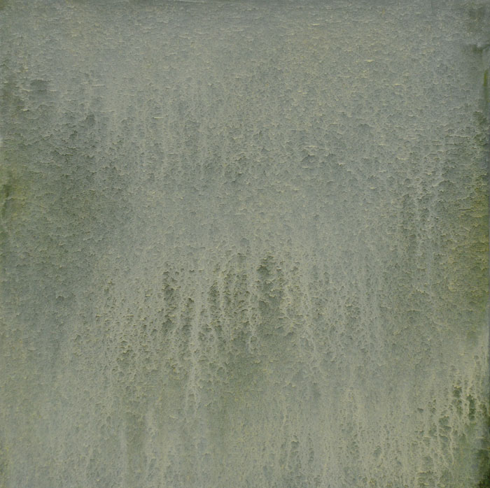 Mineral powder from Eldfell Westman Islands, Terre Verte, Zinc White and oil on canvas, 60 x 60 cm.